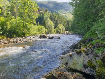 20210618_112546.jpg 20210618_112546.jpg