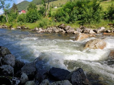 20210618_112602.jpg 20210618_112602.jpg