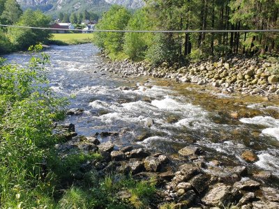 20210618_101200.jpg 20210618_101200.jpg