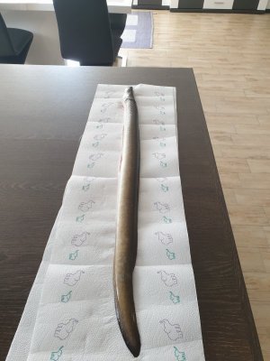 20210619_112214.jpg 20210619_112214.jpg