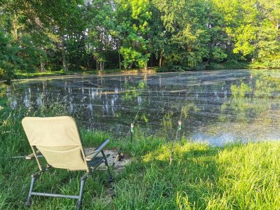 IMG_20210617_193253.jpg IMG_20210617_193253.jpg