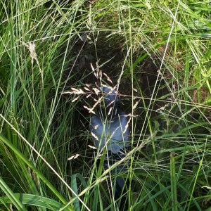 20210619_215456.jpg 20210619_215456.jpg