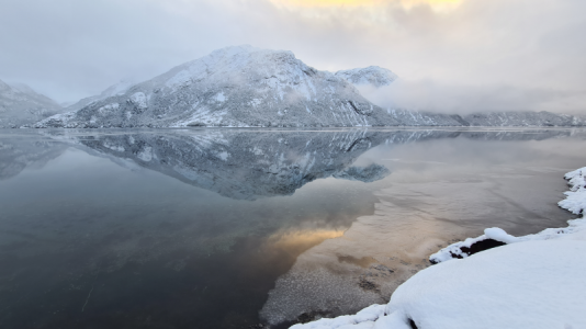 1624289960281.png 1624289960281.png