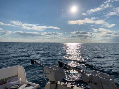 IMG-20210704-WA0010.jpg IMG-20210704-WA0010.jpg