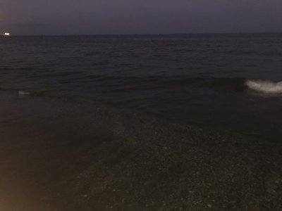 07F565F6-6694-4839-A01C-634FBB961ADA.jpeg 07F565F6-6694-4839-A01C-634FBB961ADA.jpeg