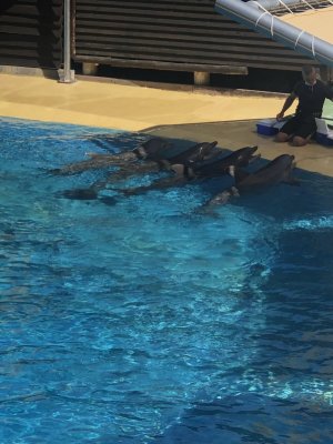 EDF12834-7A34-4B69-B608-CFDEE89E60A1.jpeg EDF12834-7A34-4B69-B608-CFDEE89E60A1.jpeg