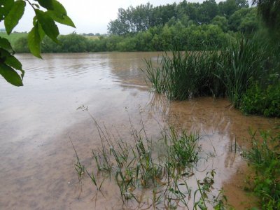 DSCN8393.JPG DSCN8393.JPG