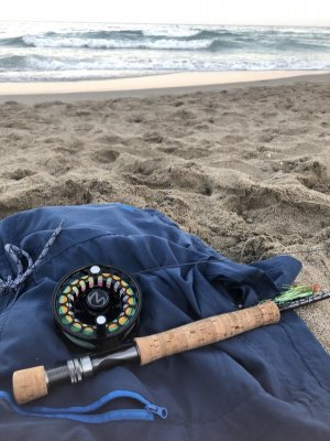 8F622762-9A85-4506-B748-0238BCF71F1D.jpeg 8F622762-9A85-4506-B748-0238BCF71F1D.jpeg