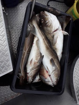 20210720_192541.jpg 20210720_192541.jpg