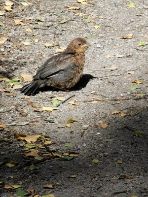 IMG_20210717_114007 (1).jpg