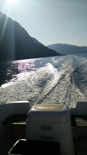 IMG_20210724_084439.jpg