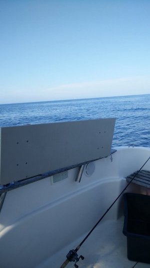 IMG_20210724_094708.jpg