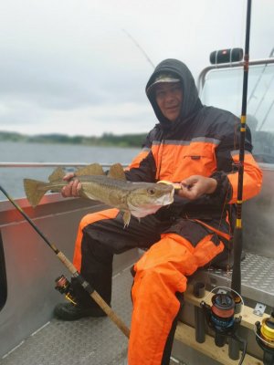 IMG_20210722_162048_1.jpg IMG_20210722_162048_1.jpg