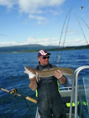 IMG_20210720_163604_1.jpg IMG_20210720_163604_1.jpg