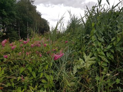 20210725_210608.jpg 20210725_210608.jpg