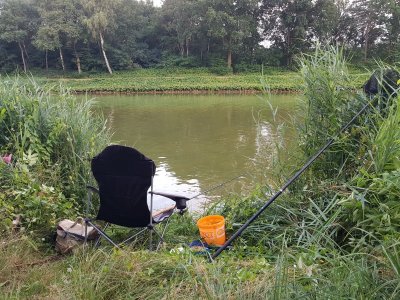 20210725_204106.jpg 20210725_204106.jpg