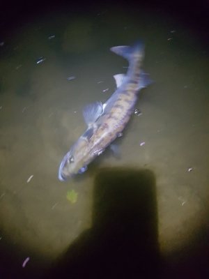 20210725_223138.jpg 20210725_223138.jpg