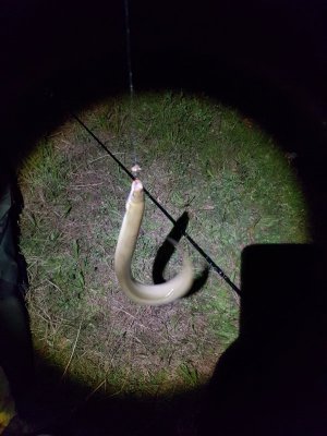 20210725_231244.jpg 20210725_231244.jpg