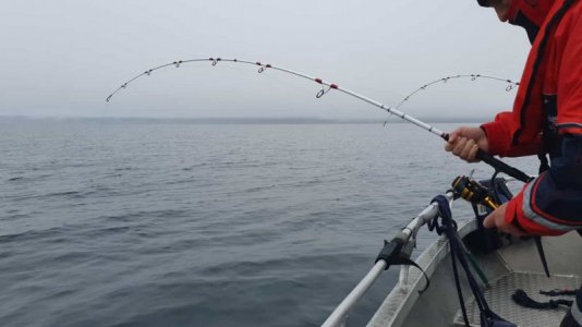 IMG-20210726-WA0019.jpg IMG-20210726-WA0019.jpg