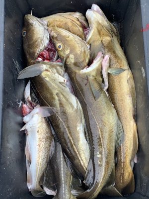 A6007E29-98A0-4131-BB2F-9047D620B104.jpeg A6007E29-98A0-4131-BB2F-9047D620B104.jpeg