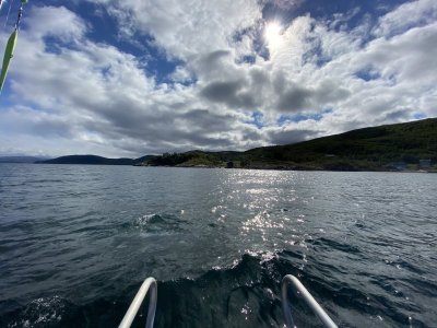 29D8F598-AE5E-481D-B163-A9188FB5F260.jpeg 29D8F598-AE5E-481D-B163-A9188FB5F260.jpeg