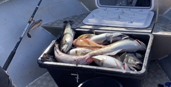 C89A9FA7-5202-4893-9DEB-9F297E385A26.jpeg C89A9FA7-5202-4893-9DEB-9F297E385A26.jpeg