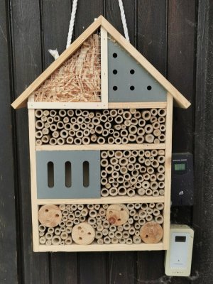 IMG_20210806_131857.jpg IMG_20210806_131857.jpg