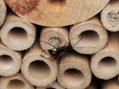 IMG_20210807_115233.jpg IMG_20210807_115233.jpg