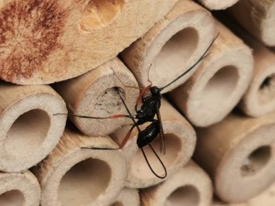 IMG_20210807_115319.jpg IMG_20210807_115319.jpg