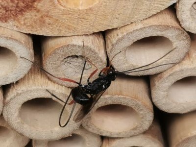 IMG_20210807_115412.jpg IMG_20210807_115412.jpg