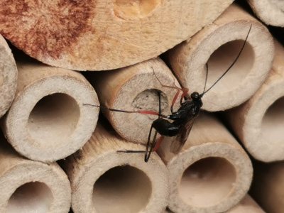 IMG_20210807_115501.jpg IMG_20210807_115501.jpg