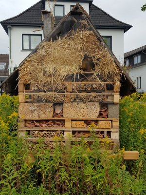 20190817_091047.jpg 20190817_091047.jpg