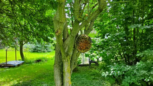 20210807_142111.jpg 20210807_142111.jpg