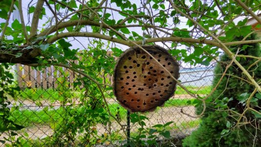 20210807_141957.jpg 20210807_141957.jpg