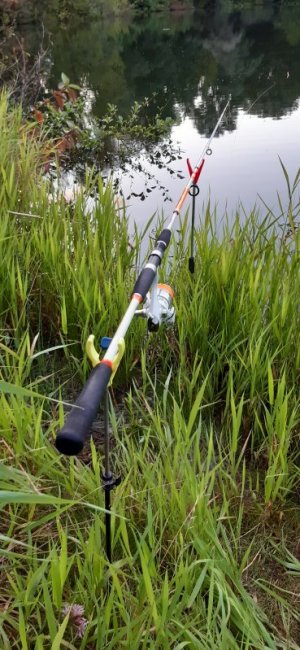 20210808_203838.jpg 20210808_203838.jpg