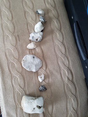 20210731_191819.jpg 20210731_191819.jpg