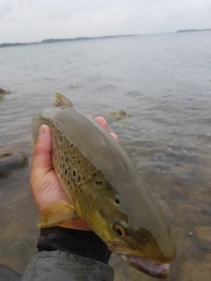 20210721_102032.jpg 20210721_102032.jpg