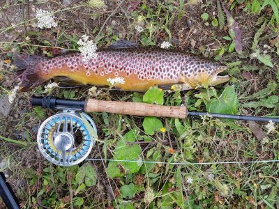 20210804_191144.jpg 20210804_191144.jpg