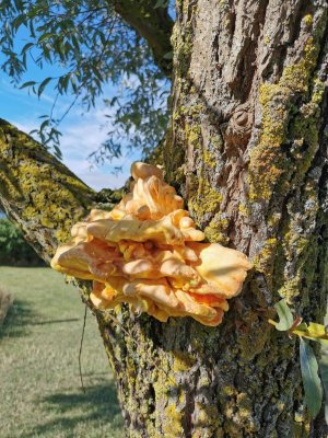 IMG_20210808_092003.jpg IMG_20210808_092003.jpg