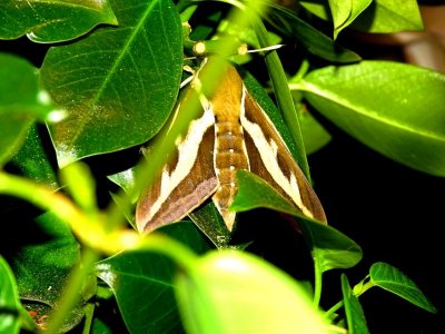 DSC02469.JPG DSC02469.JPG