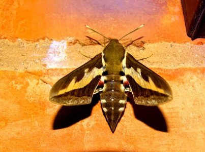 DSC02472.JPG DSC02472.JPG