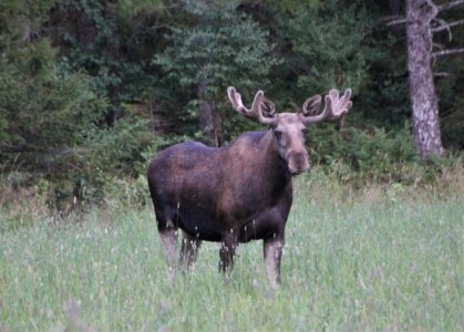 IMG_4461-+F (2).JPG IMG_4461-+F (2).JPG