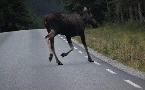 IMG_4461-+F (1).JPG IMG_4461-+F (1).JPG