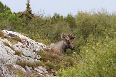 2EAE948D-0383-4760-BB24-7EEAC5F2DBED_1_201_a.jpeg 2EAE948D-0383-4760-BB24-7EEAC5F2DBED_1_201_a.jpeg