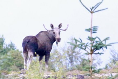 71D8D5C5-B831-4519-A8B1-2027530EB0B1_1_201_a.jpeg 71D8D5C5-B831-4519-A8B1-2027530EB0B1_1_201_a.jpeg