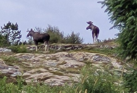 D8C3E961-3F1D-4C68-AEB2-4570B9B517CE.jpeg D8C3E961-3F1D-4C68-AEB2-4570B9B517CE.jpeg