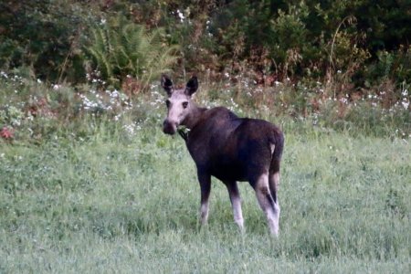 25D7DEBB-3084-42F0-BB86-369F56A63FF2_1_201_a.jpeg 25D7DEBB-3084-42F0-BB86-369F56A63FF2_1_201_a.jpeg