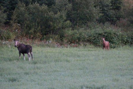 E1CB1134-74D9-461D-BF74-72355F520749.jpeg E1CB1134-74D9-461D-BF74-72355F520749.jpeg