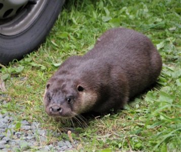 IMG_5228.JPG IMG_5228.JPG