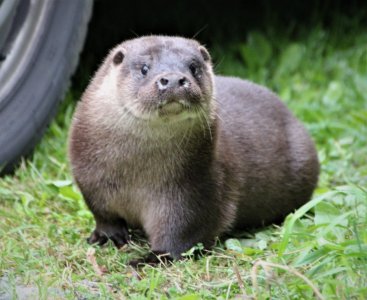 IMG_5238.JPG IMG_5238.JPG